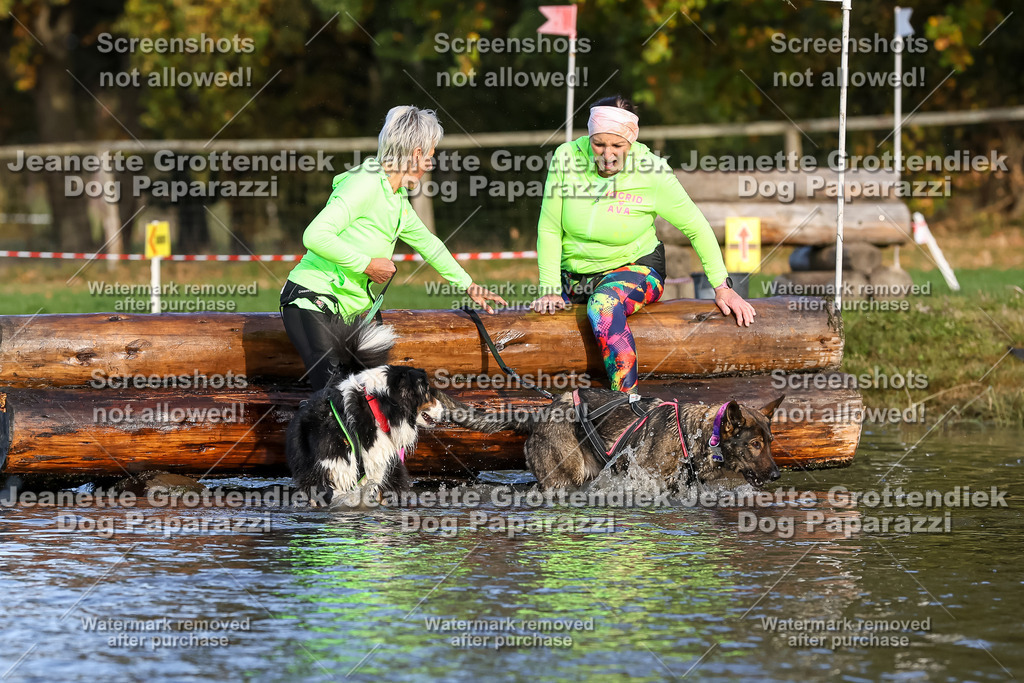 Dog Paparazzi - Strongdog 10-25-8504 | Dog Paparazzi Jeanette Grottendiek Fotografie & Videografie - Realisiert mit Pictrs.com