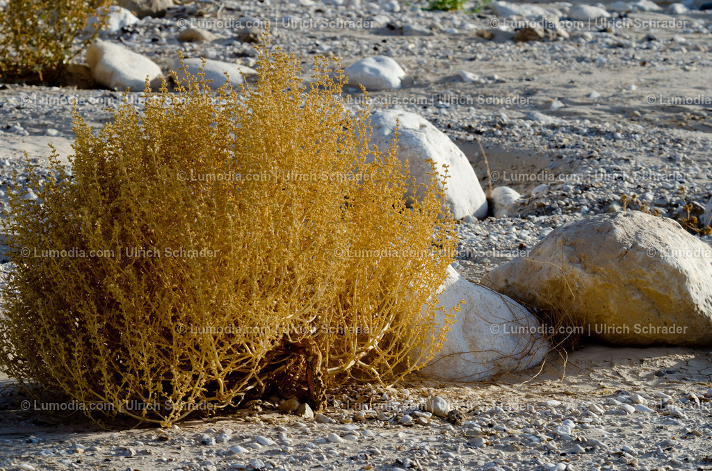10972-10372 - Negev-Wüste _ Israel | max. Bildgröße A3 | 300dpi - Realisiert mit Pictrs.com