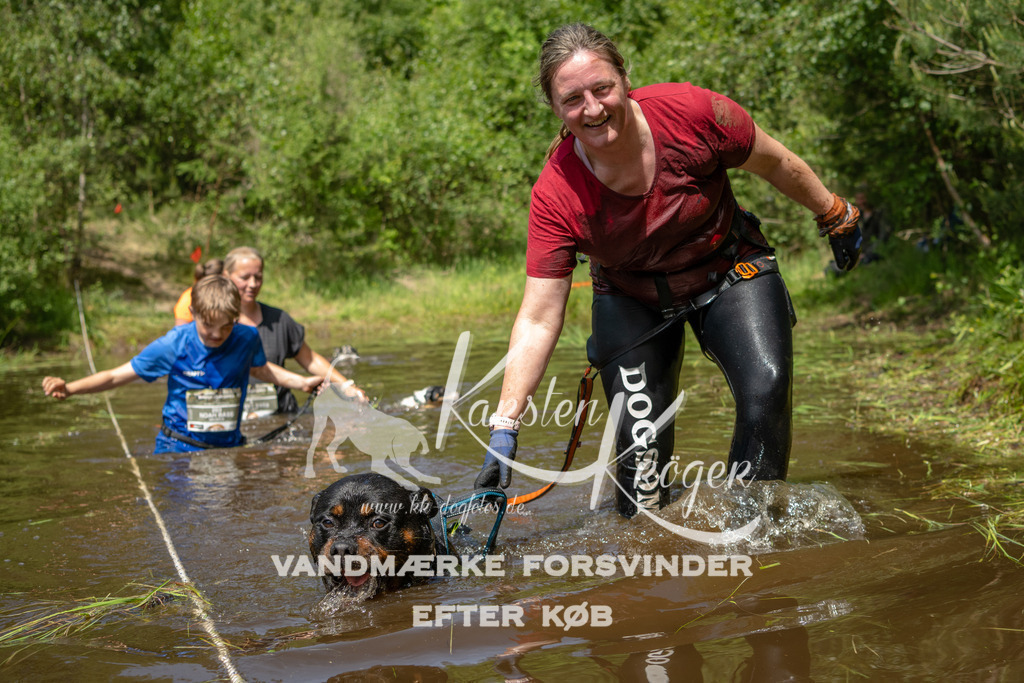 1255DKK993713 | kk-dogfotos
