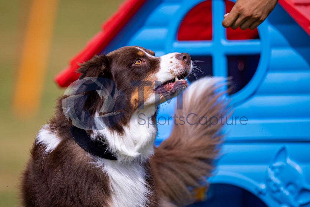 TP-20240815-0130 | Copyright: Trainproduction / Matthias Trinkl