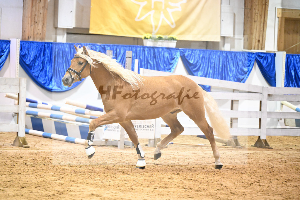 Kat-Nr. 36 nn v. Ansgar_Port_60220585 | hf-fotografie - Realisiert mit Pictrs.com