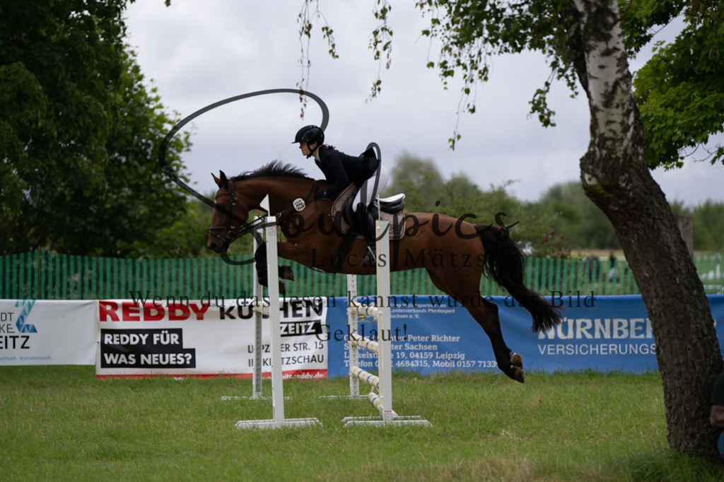 A7V03969 | Pferdefotograf