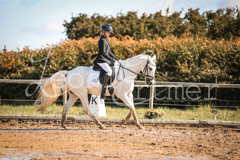 07.SoDrE00135 | Leoni Ertmer Photography - Realisiert mit Pictrs.com