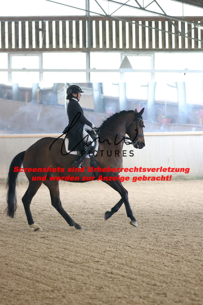 IMG_0488 | lmwpictures - Realisiert mit Pictrs.com