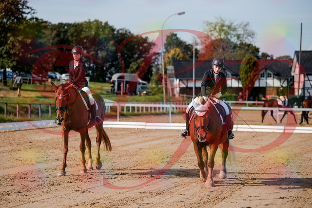 2026_10_03_Siefer-Hof_114447_Z63_24754731 | Professionelle Reitsport-, Turnier- und Eventfotografie von Robert Broda. Galerien mit ausgewählten und bearbeiteten Bildern direkt online ansehen und bestellen.