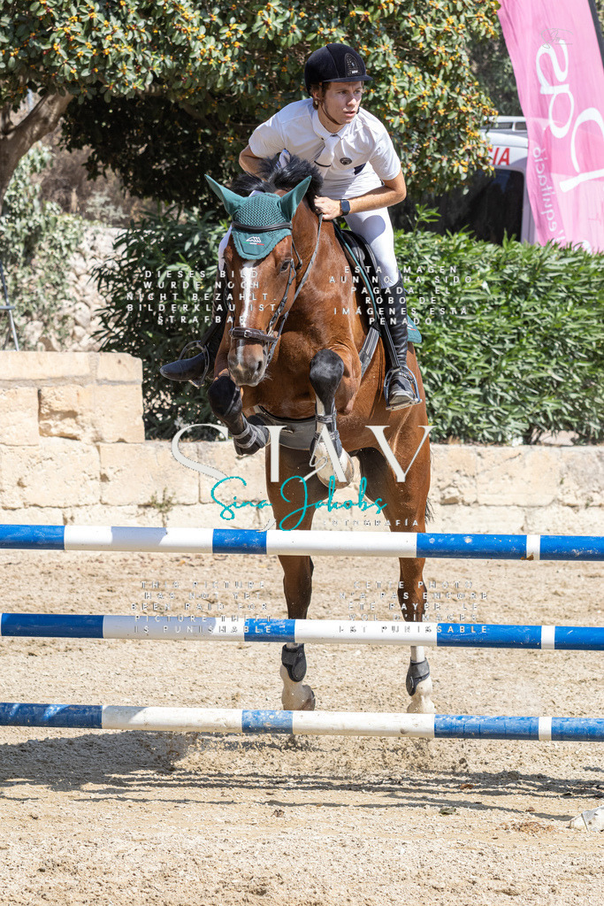 IMG_3949 | s-jay-photography - Realisiert mit Pictrs.com