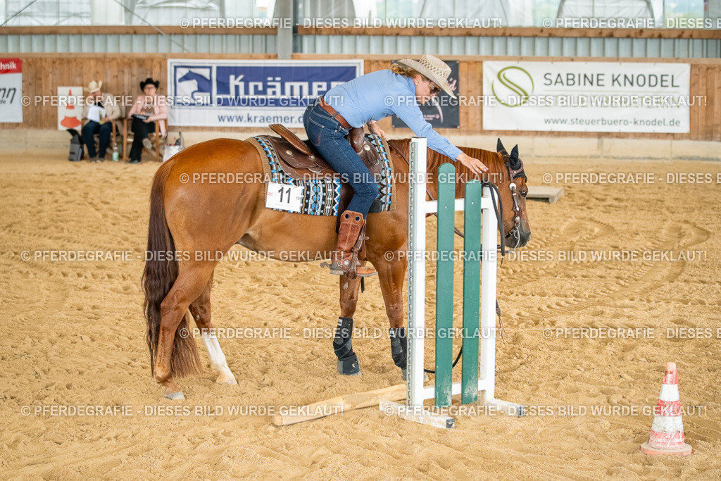 DSC07481 | Pferdegrafie