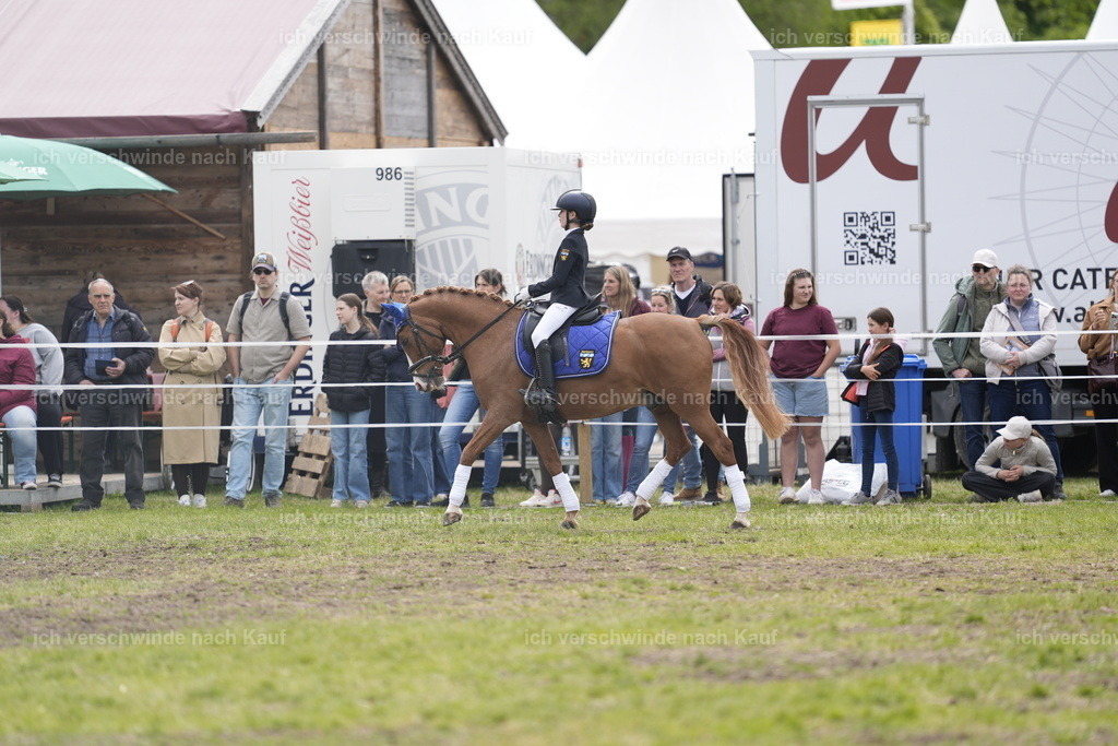 PI26_SHOW_Stoibphotography_DSC6739.JPG | working equitationturnier fotograf videograf stoibphotography marixx film working equitation deutschland reitsport turnierfotografie eventfotografie equestrian events