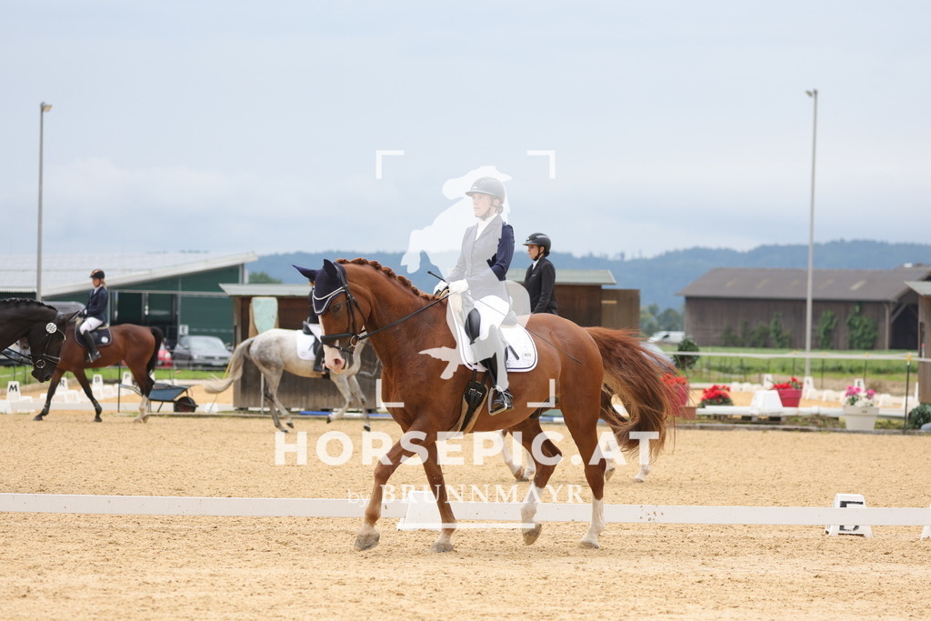 0P6A8601 | Willkommen bei Brunnmayr - Design & Fotografie – Ihrem Spezialisten für Reitturniere und Pferdeveranstaltungen in Oberösterreich, Salzburg und Bayern! Seit über 17 Jahren sind wir leidenschaftlich dabei.