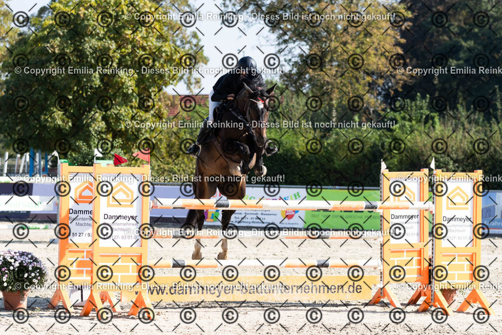 CL5A6220 | Emilia Reinking Fotografie - Realisiert mit Pictrs.com