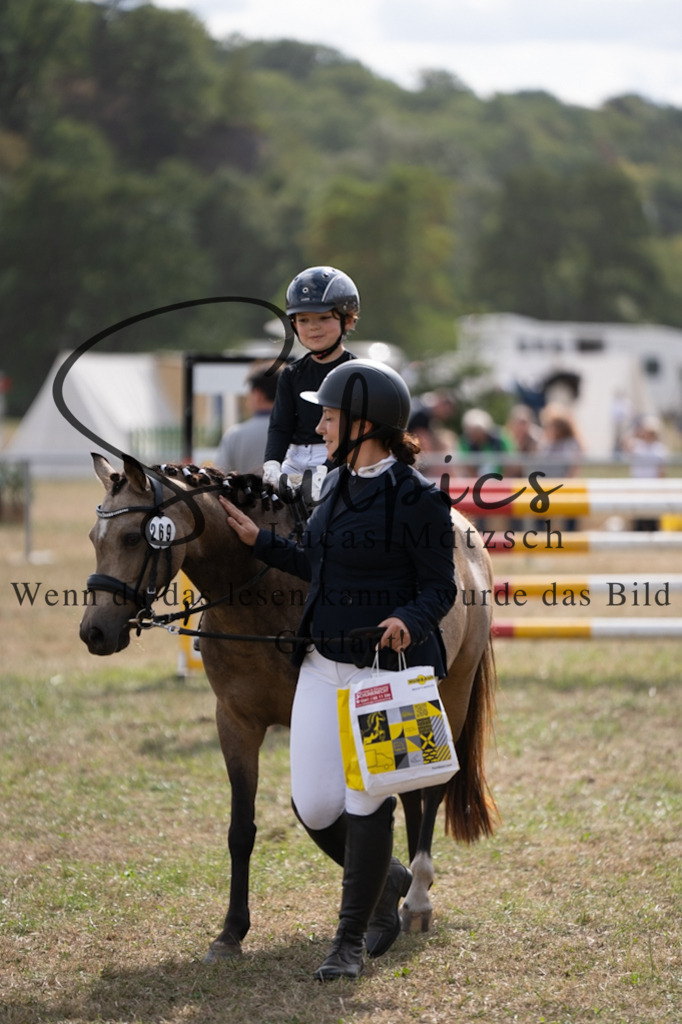 A7V09012 | Pferdefotograf