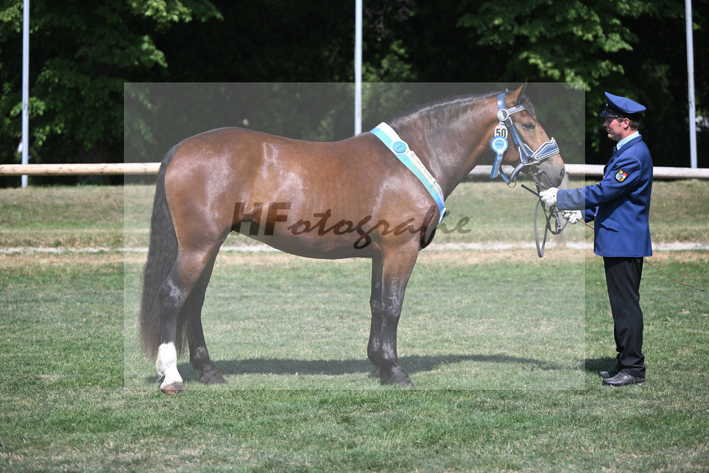 Kat-Nr. 50 Nockerl_HLG Schwaiganger_20231296 | hf-fotografie - Realisiert mit Pictrs.com