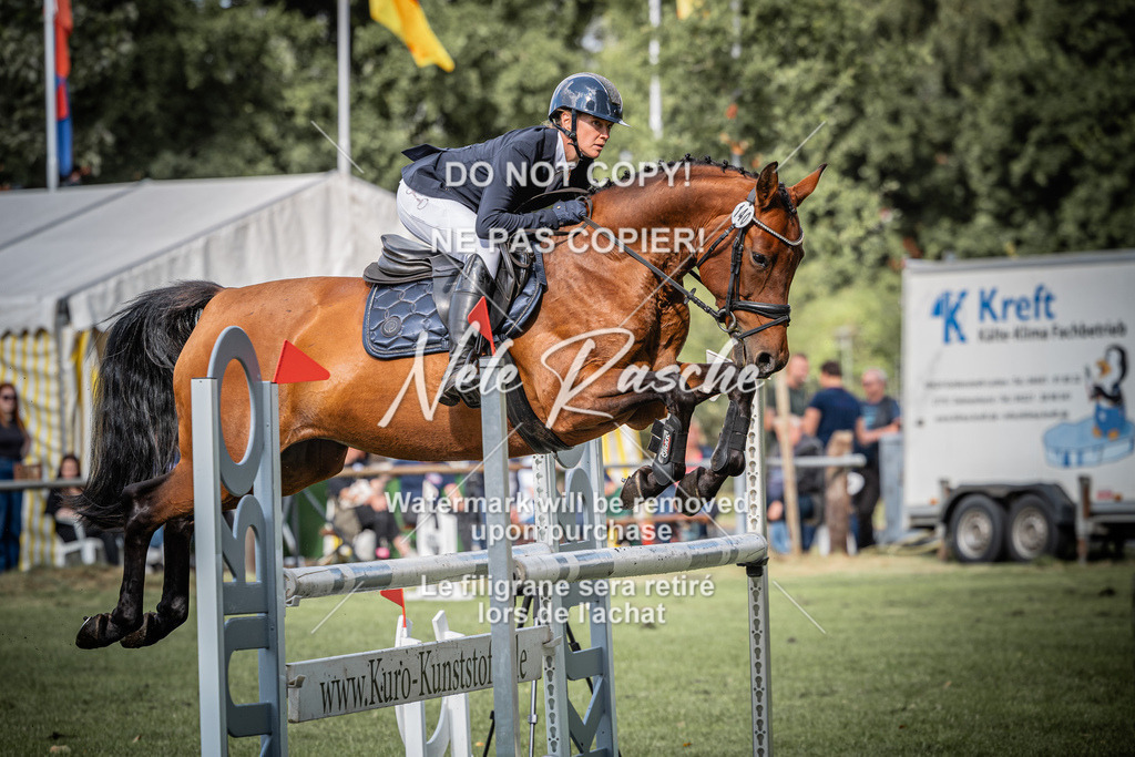 nelerasche_SprL115Ede_41 | nelerasche