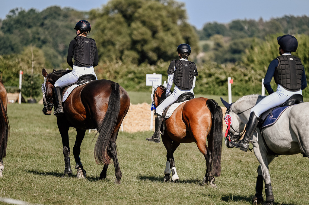 DSC_3713 | Pferde- und Turnierfotografie in Westsachsen. Pferdeportraits, Auftragszeichnungen und intuitive Kunst.