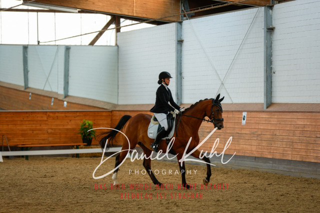 _62_4902 | Turniersportfotografie; Pferdefotografie; Dressurfotografie