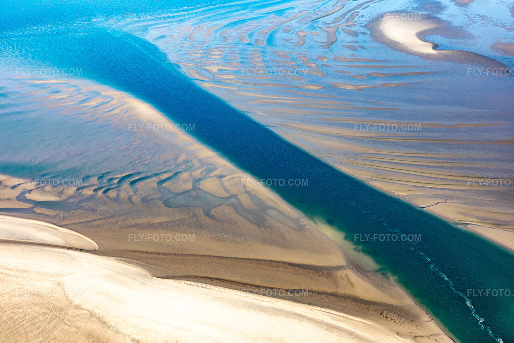 Aerial view: South American sea lions and harbor seals at the tidal channel to the sandbank Peter Meyers in Fanø in the state South Denmark, Denmark.Photo: IMG_118677.jpg taken on 09/21/2019 by Werner Riehm/FLY-FOTO.comResolution of the original: 5472 x 3648 px