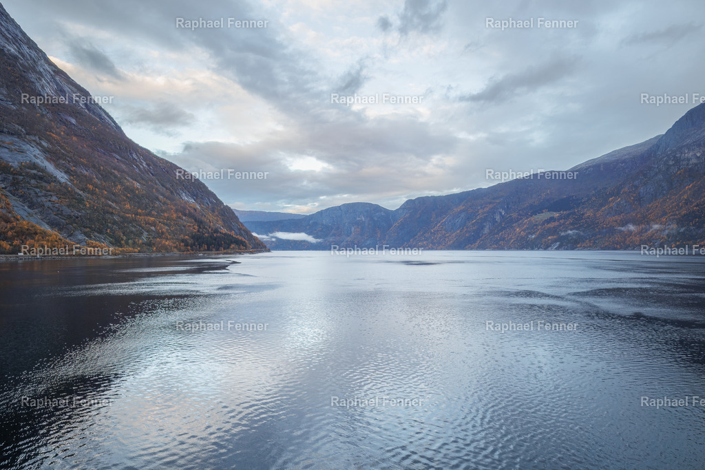 Stille Momente am Eidfjord | Die majestätische Schönheit des Eidfjords in Norwegen, aufgenommen an einem ruhigen Morgen während einer Kreuzfahrt. Die friedlichen Wasseroberflächen spiegeln die herbstlichen Farben der Berge wider, die von sanftem Nebel umhüllt sind. Ein Bild, das die Ruhe und Stille der skandinavischen Natur einfängt und jedem Raum eine Atmosphäre von Gelassenheit und Weite verleiht.