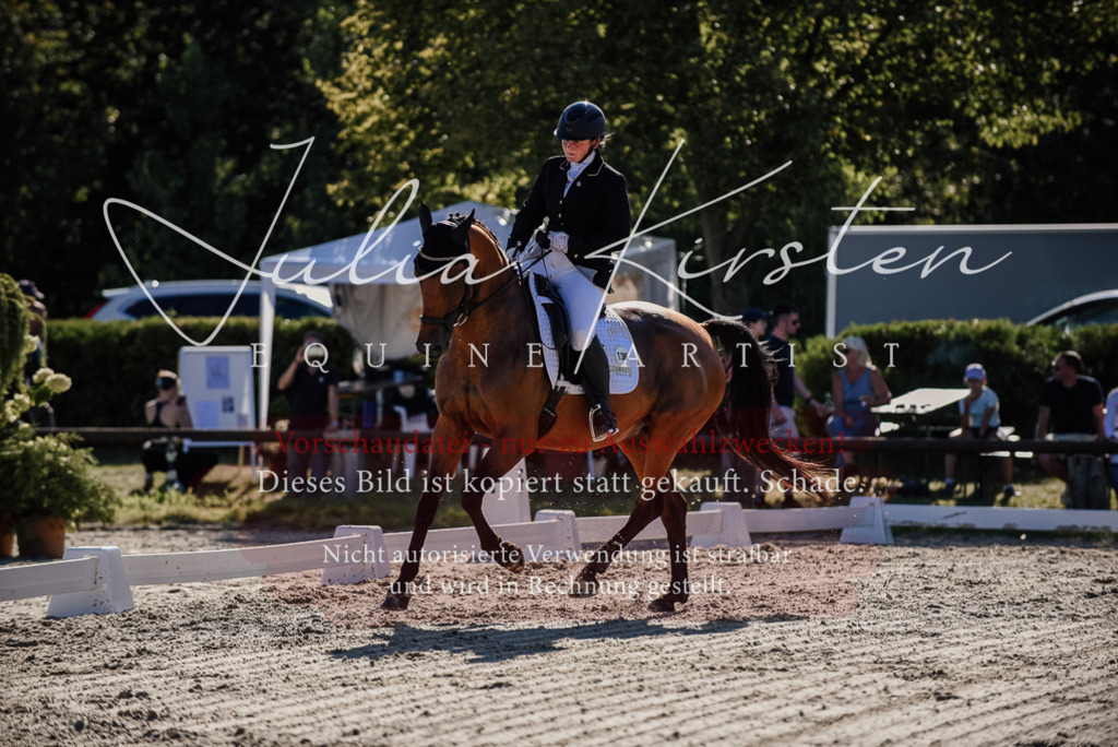 DSC_0373 | Pferde- und Turnierfotografie in Westsachsen. Pferdeportraits, Auftragszeichnungen und intuitive Kunst.
