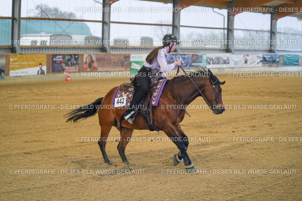 DSC09442 | Pferdegrafie