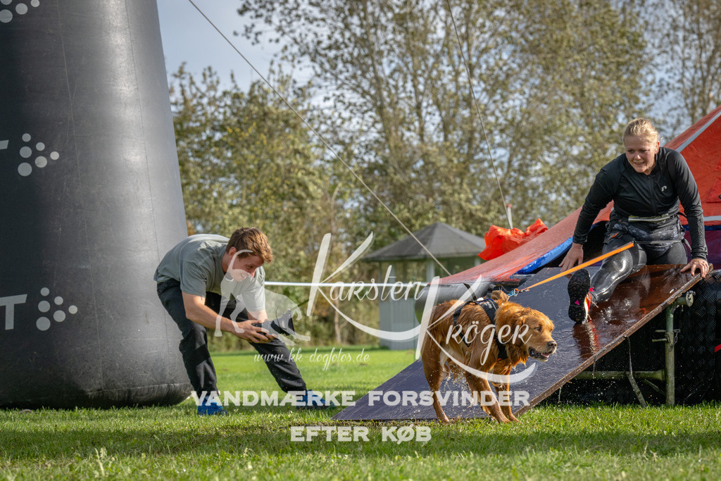 1212-92792 | kk-dogfotos