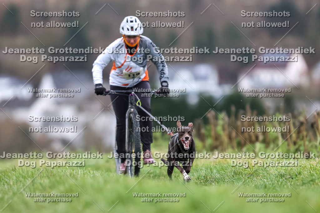 Dog Paparazzi - Herkules Race  2025-26 | Dog Paparazzi Jeanette Grottendiek Fotografie & Videografie - Realisiert mit Pictrs.com