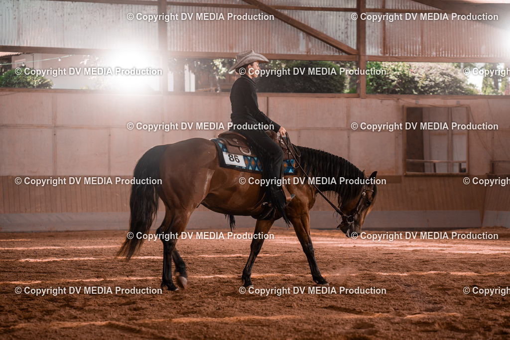 NE100400 | dv-media-shop - Realisiert mit Pictrs.com