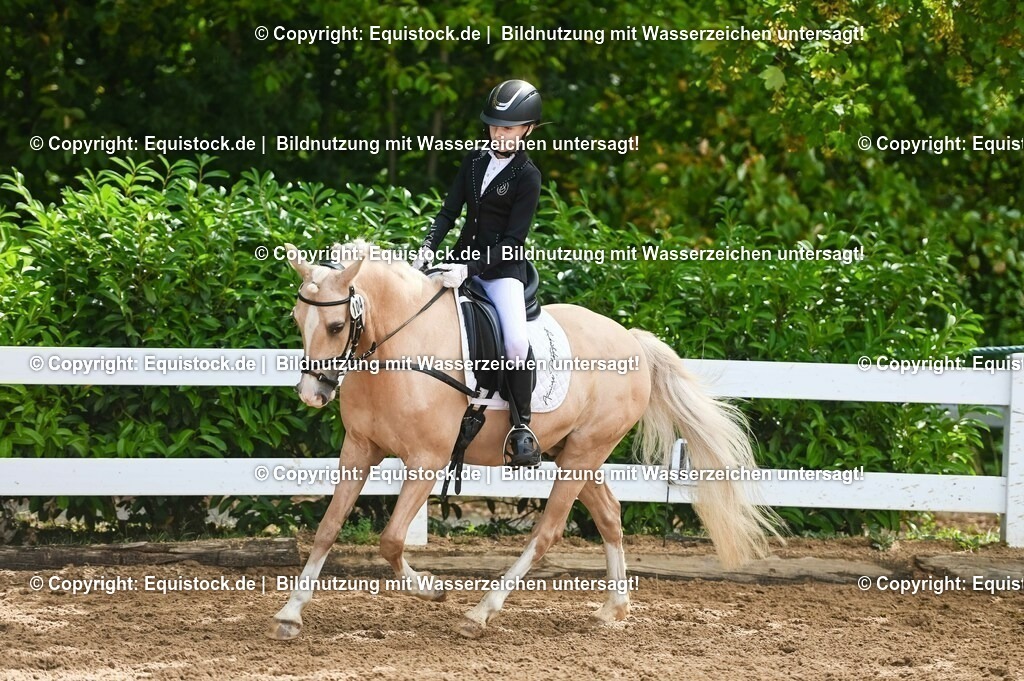 20230716_10-3_Reiter-WB Schritt - Trab - Galopp_0114 | equistock