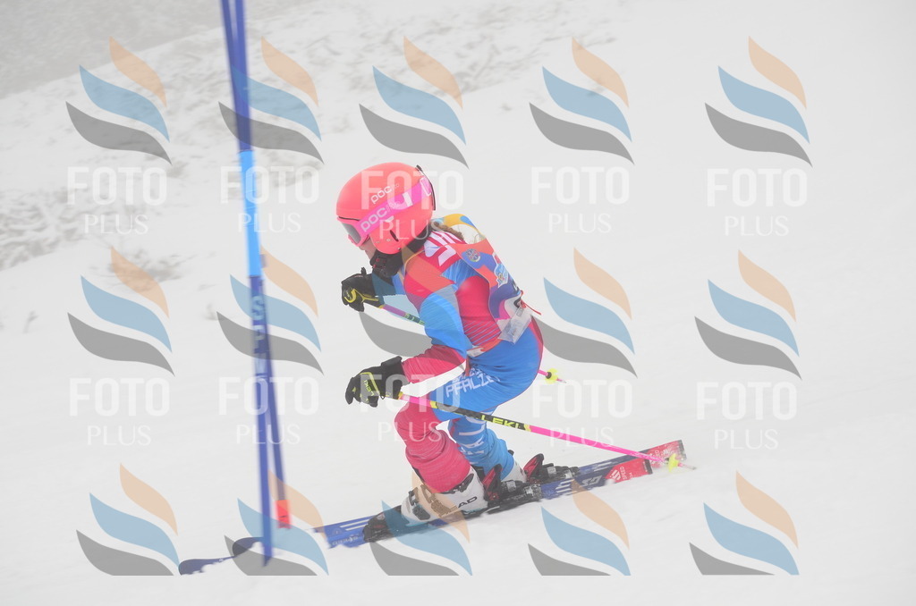 C1280 | holidayphoto