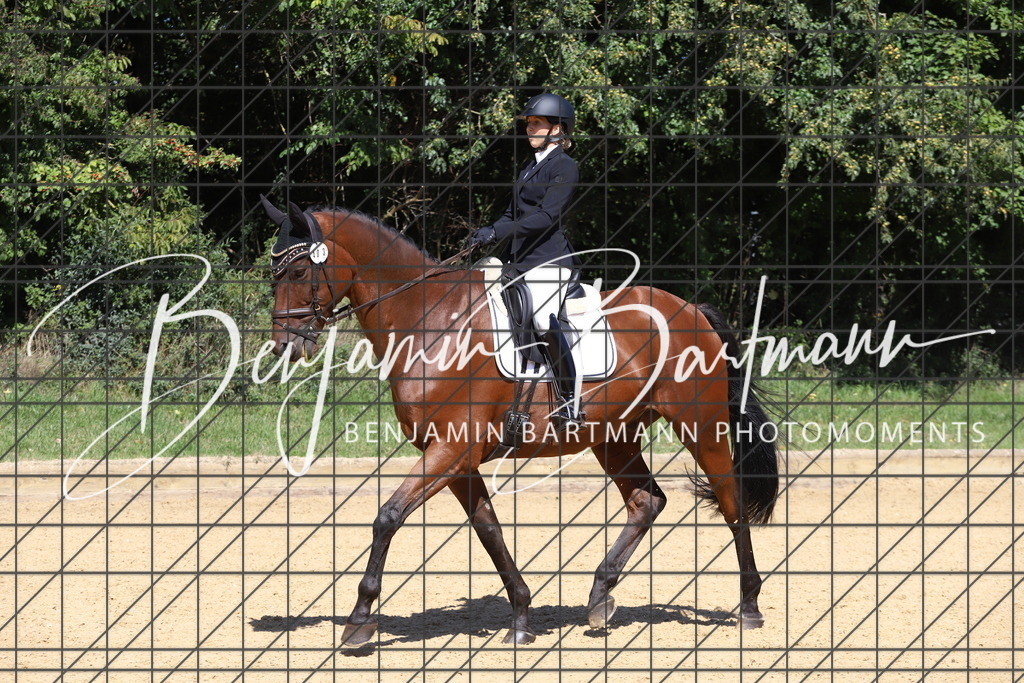 IMG_6560 | Benjamin Bartmann Photomoments