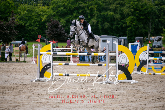 IMG_5682 | Turniersportfotografie; Pferdefotografie; Dressurfotografie