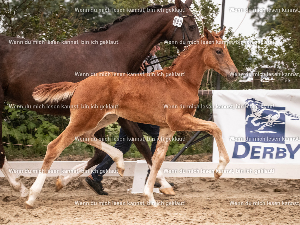 A10I6733 | photographylinaismer - Realisiert mit Pictrs.com