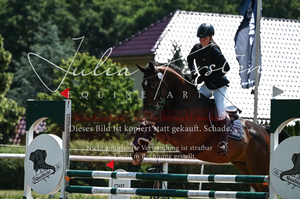 DSC_9962 | Pferde- und Turnierfotografie in Westsachsen. Pferdeportraits, Auftragszeichnungen und intuitive Kunst.