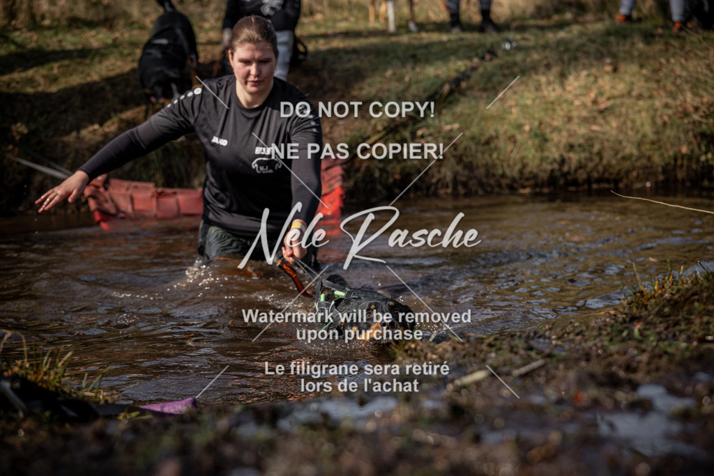 nelerasche_FS1330-1400_413 | nelerasche