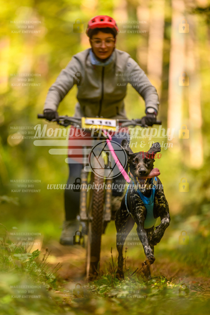 MompixPhotography_Yens2025_B2-159 | PayLife
