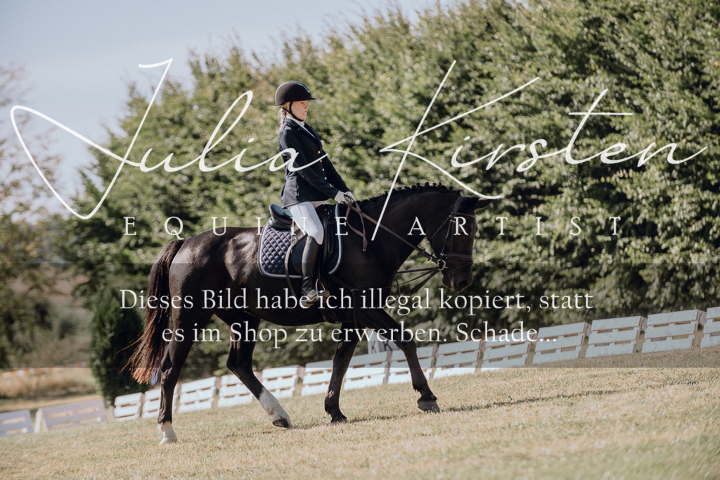 DSC_7192 | Pferde- und Turnierfotografie in Westsachsen. Pferdeportraits, Auftragszeichnungen und intuitive Kunst.