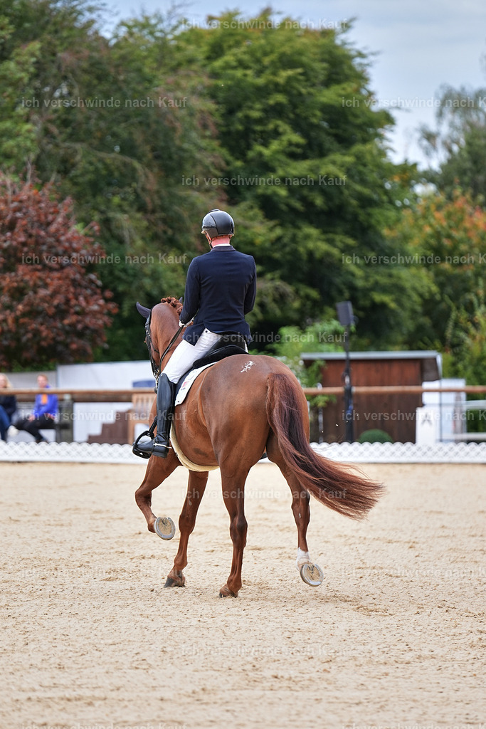 04_1-165-Dressur M__ -Marixx-2785 | working equitationturnier fotograf videograf stoibphotography marixx film working equitation deutschland reitsport turnierfotografie eventfotografie equestrian events