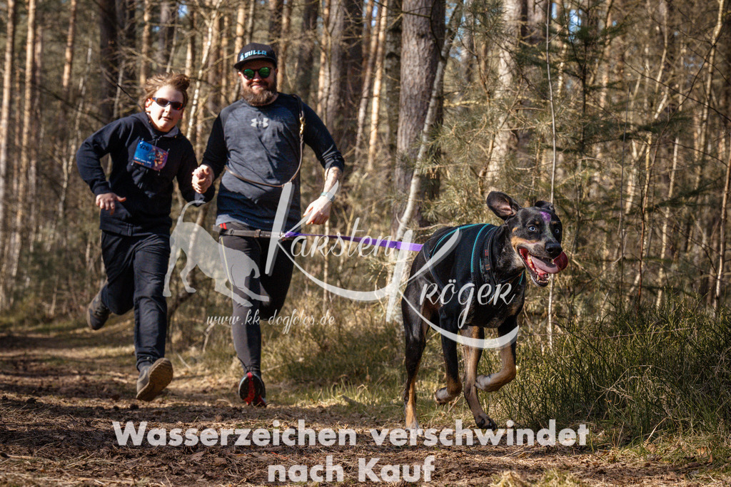 1248_ZZ94350 | kk-dogfotos