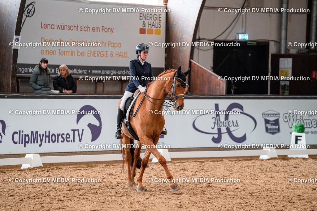 Kranichstein Tag 1-549 | dv-media-shop - Realisiert mit Pictrs.com