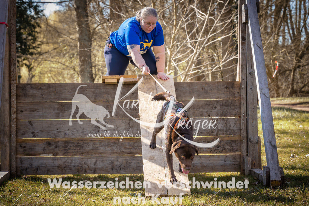 0856_ZZ92950 | kk-dogfotos