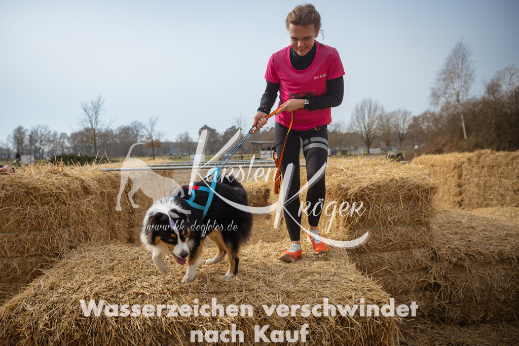 1103_ZZ91945 | kk-dogfotos