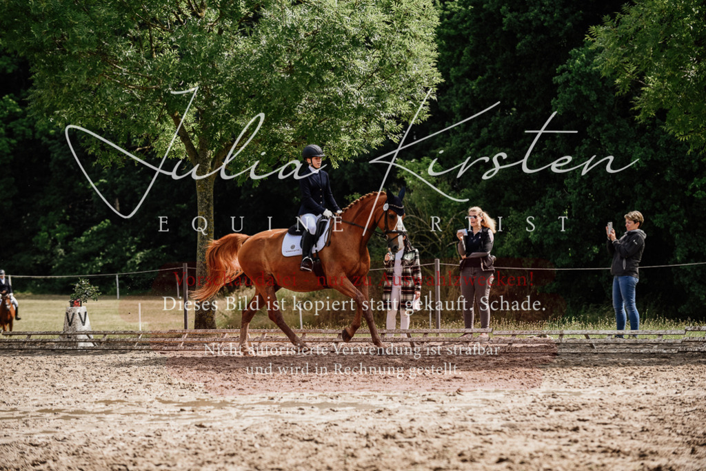 DSC_0034 | Pferde- und Turnierfotografie in Westsachsen. Pferdeportraits, Auftragszeichnungen und intuitive Kunst.