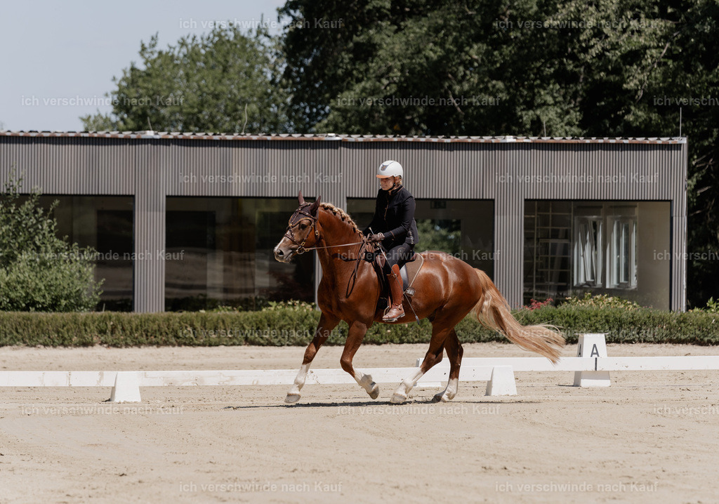 WE_DR_16_SinaFilmArt_IN02938 | working equitationturnier fotograf videograf stoibphotography marixx film working equitation deutschland reitsport turnierfotografie eventfotografie equestrian events