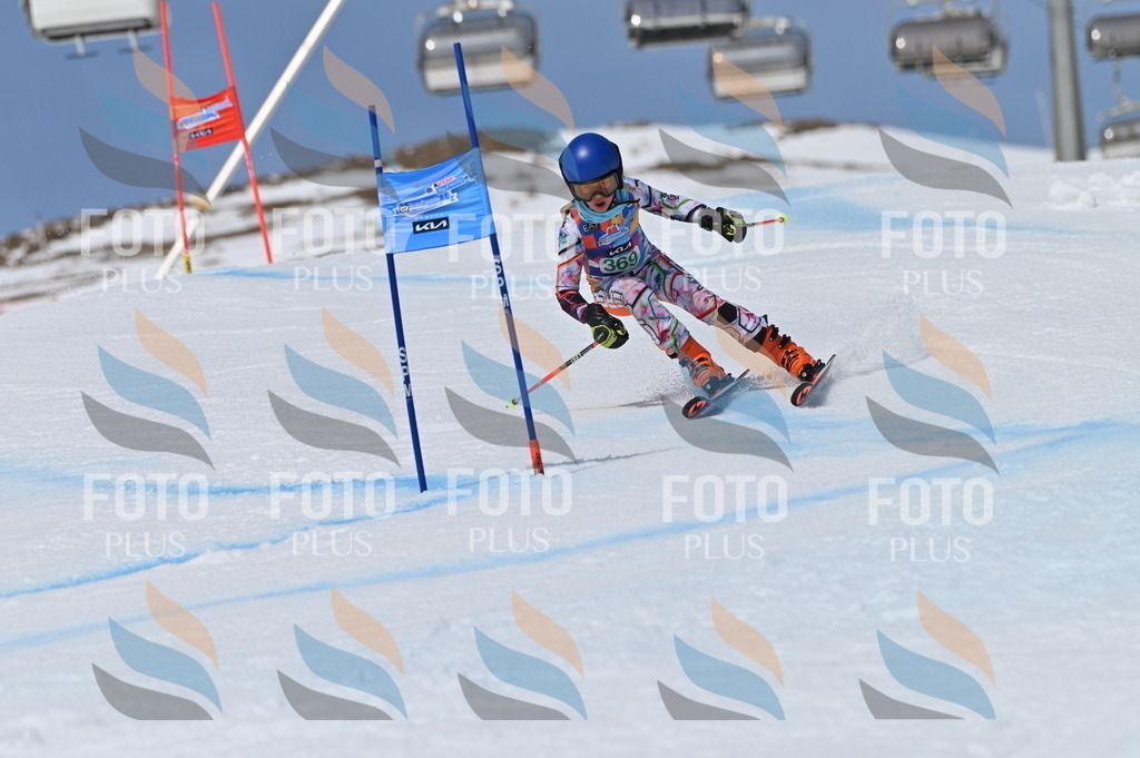 BGV_7298 | holidayphoto