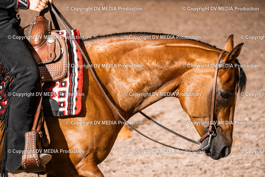 ZH300387 | dv-media-shop - Realisiert mit Pictrs.com