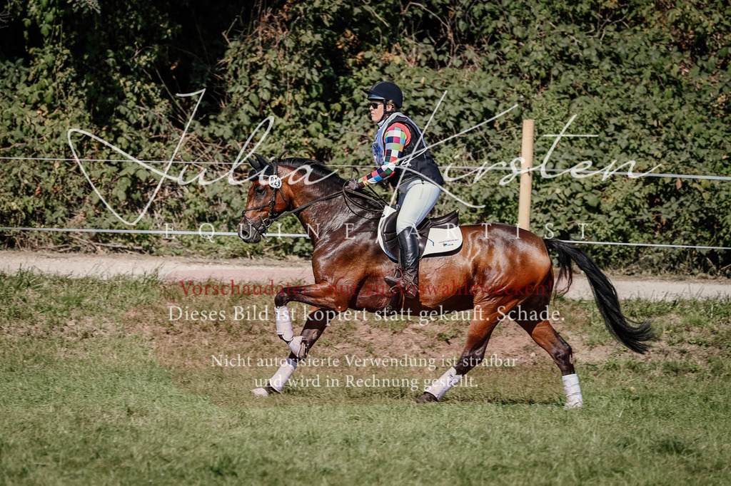 DSC_1552 | Pferde- und Turnierfotografie in Westsachsen. Pferdeportraits, Auftragszeichnungen und intuitive Kunst.