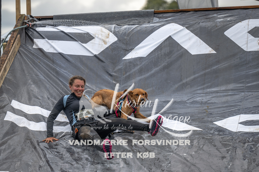 1529_ZZ93755 | kk-dogfotos