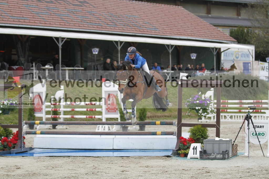 _MG_2959 | equestrian-live-com