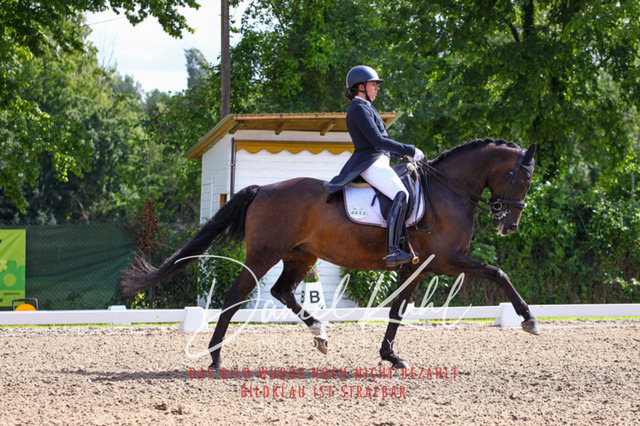 DKP41355 | Deine Turnierfotos vom Reitturnier online kaufen: Dressur, Springen & Siegerehrung. Professionelle Pferdefotografie aus dem Rheinland – als Download & Print.Alternative: Turnierfotograf für den Pferdesport: Finde deine Fotos von Dressur- und Springturnier