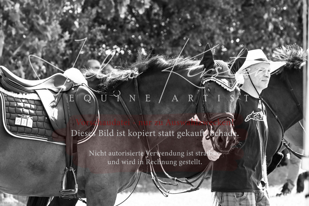 DSC_7082 | Pferde- und Turnierfotografie in Westsachsen. Pferdeportraits, Auftragszeichnungen und intuitive Kunst.