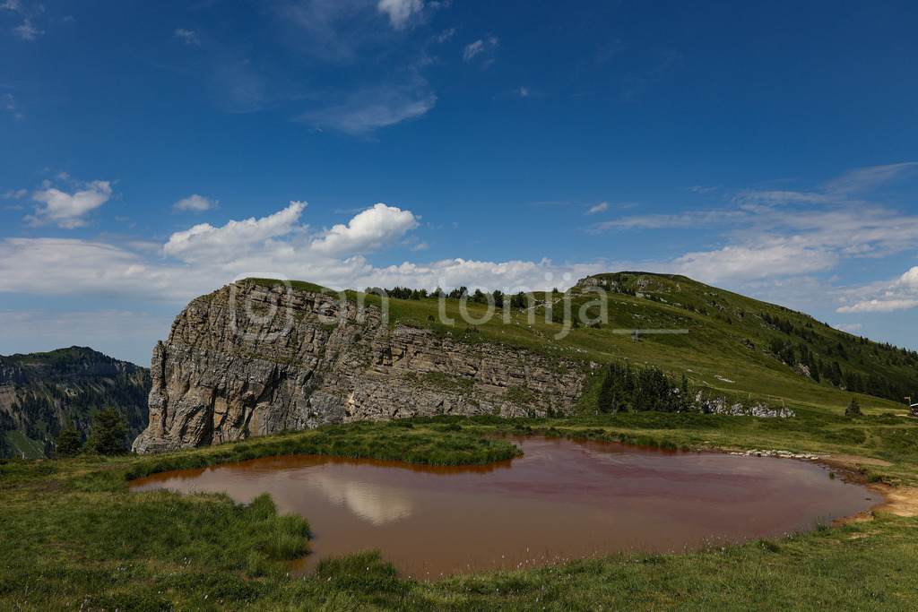 A.Trupina-91 | antonija-trupina - Realisiert mit Pictrs.com